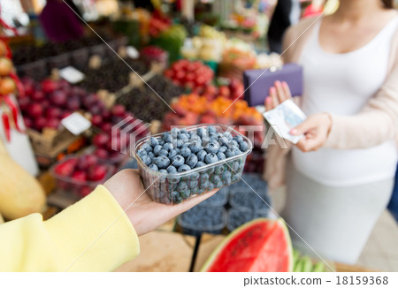 pregnant woman with money buying berries at market pregnant woman with money buying berries at market 18159368