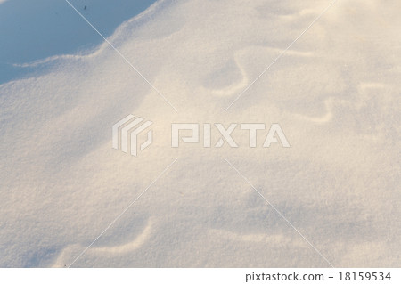 snow. close up  18159534