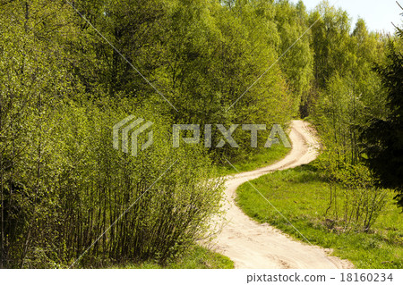 the road   18160234