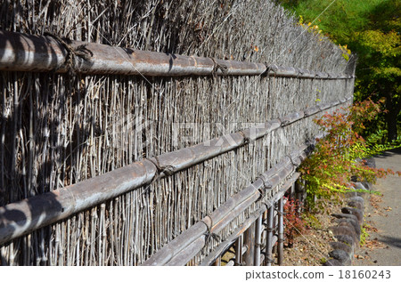 竹籬笆 18160243