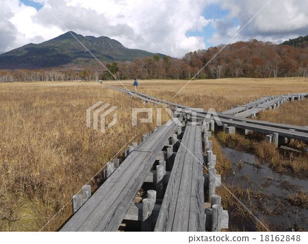 深秋的Ozegahara 18162848