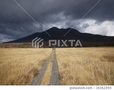 深秋的Ozegahara 深秋的Ozegahara 18162850