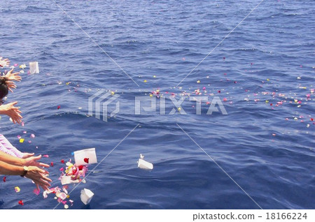 海洋散射 18166224