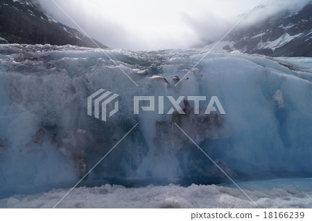 Columbia Great Icefield 18166239