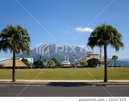 櫻花島的熱帶景觀 18167329