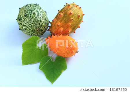 Kiwano Kiwano 18167360