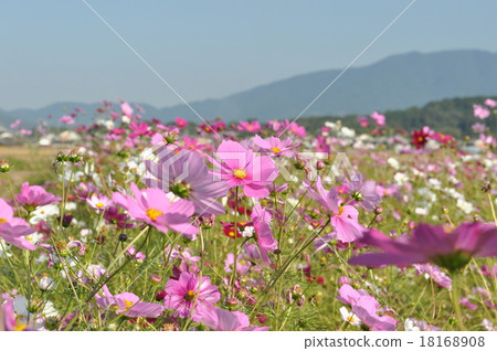  宇宙領域 18168908