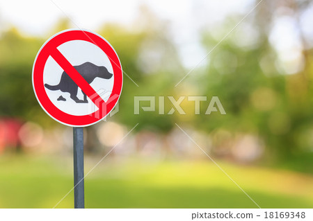 No dog pooping sign in the park No dog pooping sign in the park 18169348