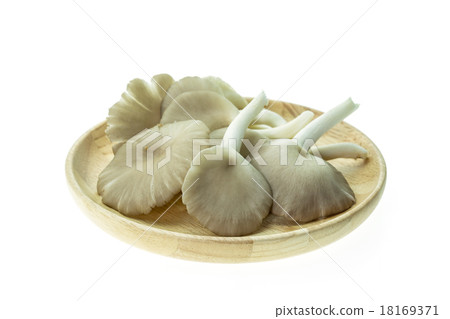Fresh Indian Oyster (Phoenix) Mushroom isolated on white backgro 18169371