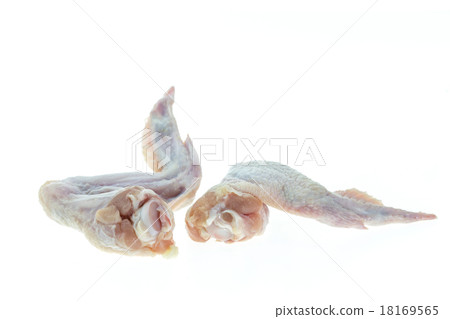 Raw chicken wings on a white background Raw chicken wings on a white background 18169565