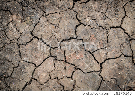 Cracked Ground Cracked Ground 18170146