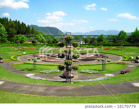 完全開花的走廊 18170779