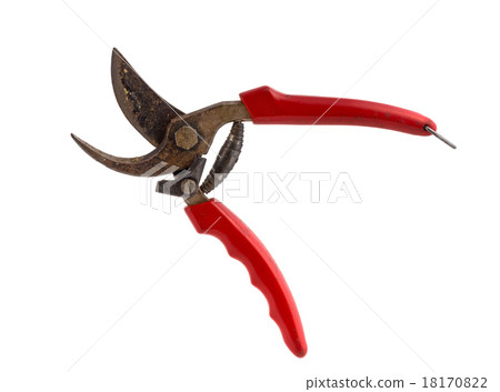 pruning shears 18170822