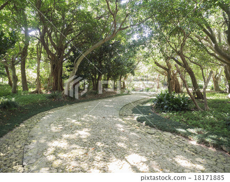 世界遺產之一,沖繩的傳奇花園 世界遺產之一,沖繩的傳奇花園 18171885