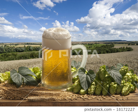 beer 18172227