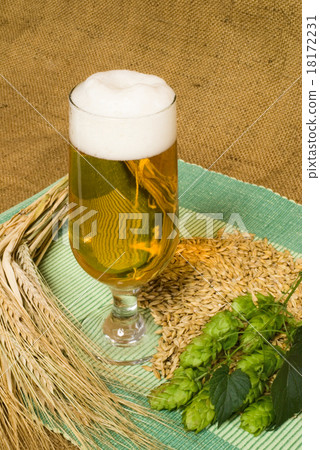 beer 18172231