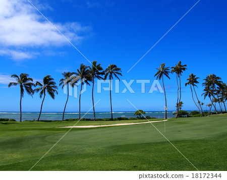 Waialae Golf Club Waialae Golf Club 18172344