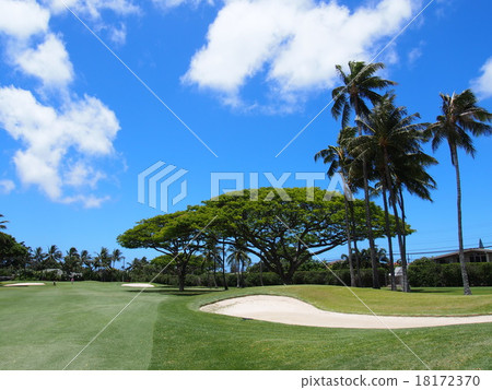 Waialae Golf Club 18172370