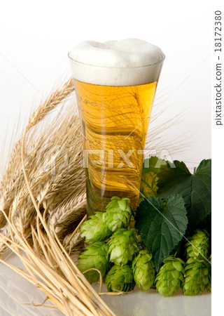 beer beer 18172380