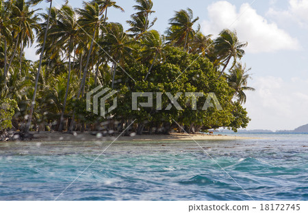 The island with palm trees in the sea through spla The island with palm trees in the sea through spla 18172745