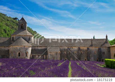 Abbey Senanque and Lavender field, France 18173219