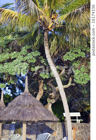 Sun protection umbrellas on beach. Mauritius Sun protection umbrellas on beach. Mauritius 18174336