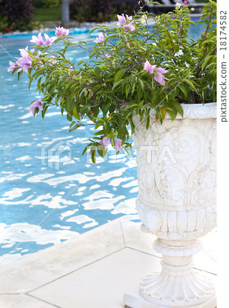 stone vase with the flowers on the edge of the poo stone vase with the flowers on the edge of the poo 18174582
