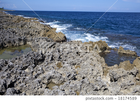 The coast from corals. Jamaica. 18174589