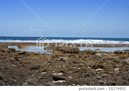 French Polynesia. Coral fields 18174952