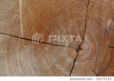 texture of wood logs background with crack 18175119
