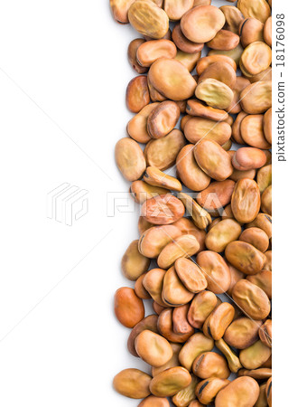 dried broad beans dried broad beans 18176098