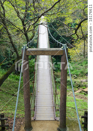 懸索自然公園的懸索橋 懸索自然公園的懸索橋 18176611