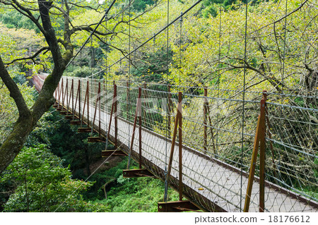 懸索自然公園的懸索橋 懸索自然公園的懸索橋 18176612