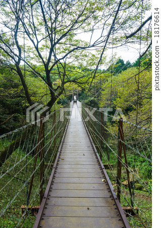 Suspension Natural Park's suspension bridge Suspension Natural Park's suspension bridge 18176614