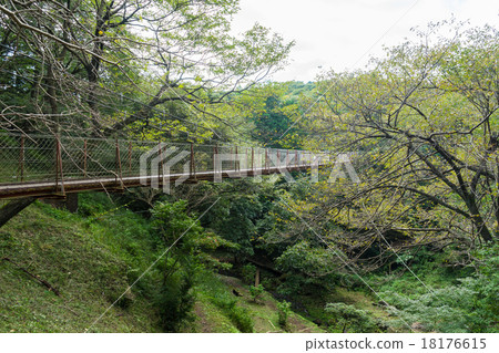 懸索自然公園的懸索橋 懸索自然公園的懸索橋 18176615