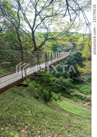 懸索自然公園的懸索橋 懸索自然公園的懸索橋 18176616