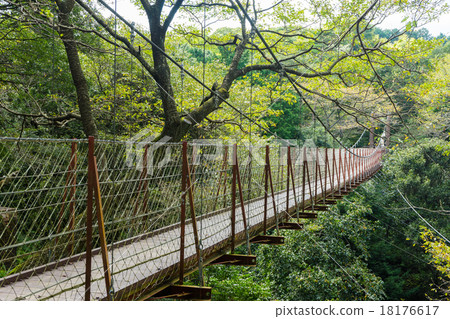 懸索自然公園的懸索橋 懸索自然公園的懸索橋 18176617