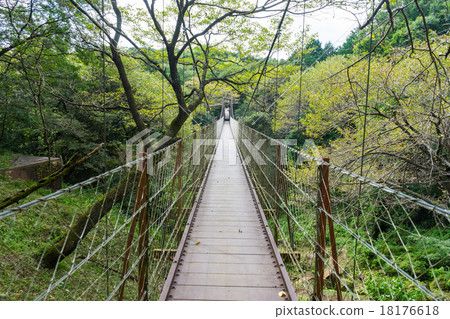懸索自然公園的懸索橋 懸索自然公園的懸索橋 18176618