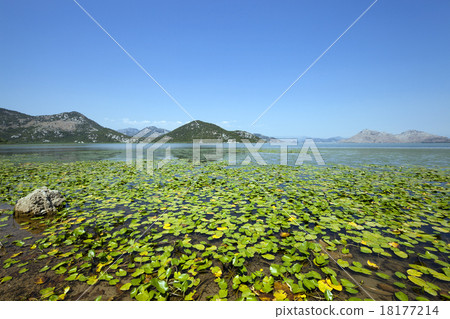 the lake    18177214