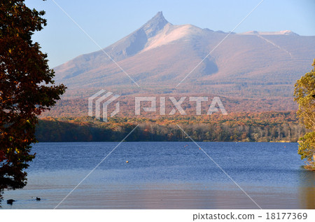 Fall of Onuma Park 18177369