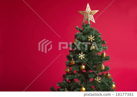 聖誕樹 聖誕樹 18177381