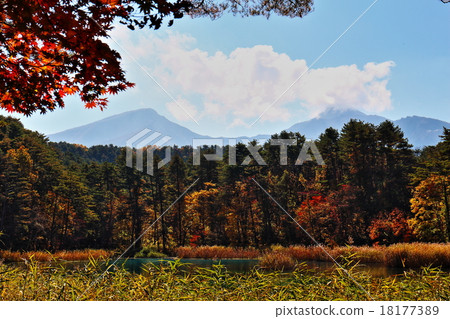 Mourning of Ruri Numa Mourning of Ruri Numa 18177389