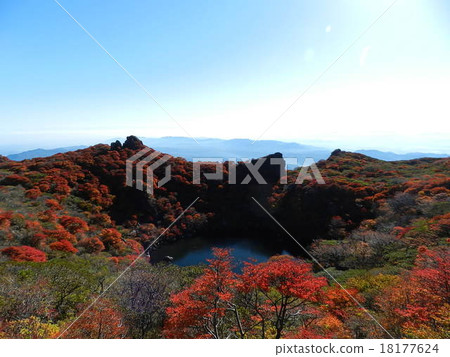 Okuyama(Oike)的秋葉 Okuyama(Oike)的秋葉 18177624