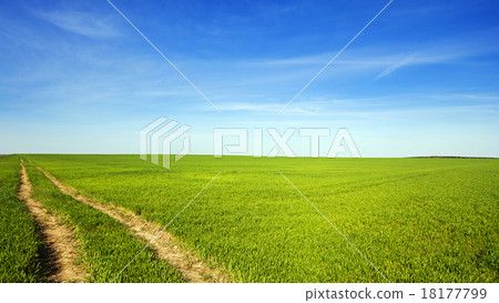 the rural road the rural road 18177799