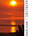 Fog early evening 18178259