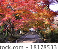 京都Bishamondo秋葉 18178533