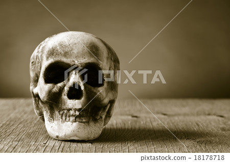 scary skull on a wooden surface, in sepia toning scary skull on a wooden surface, in sepia toning 18178718