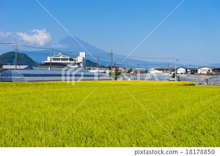 富士山和鄉村 富士山和鄉村 18178850