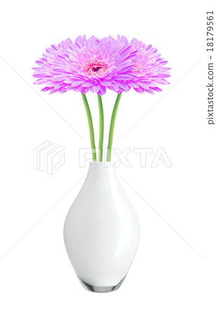 beautiful purple gerbera daisy flowers in vase beautiful purple gerbera daisy flowers in vase 18179561