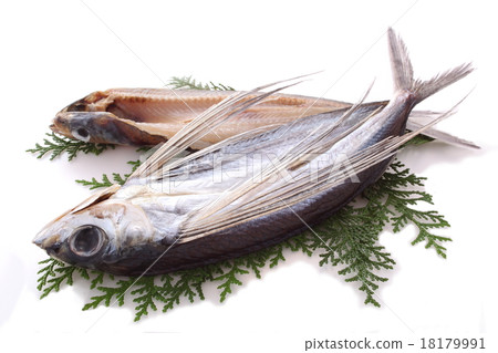 乾魚 18179991